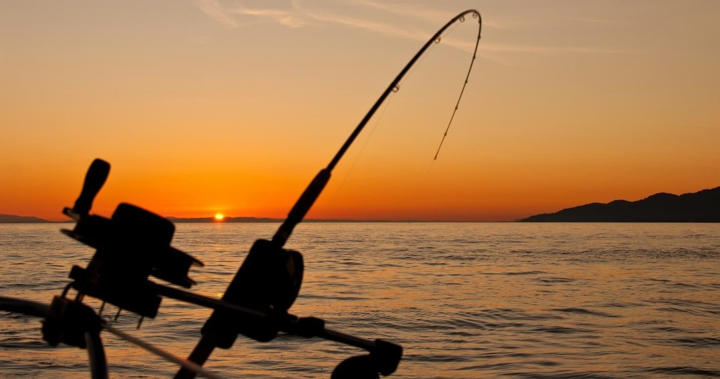 Fishing rod silhouetted at sunset over calm sea, angling view