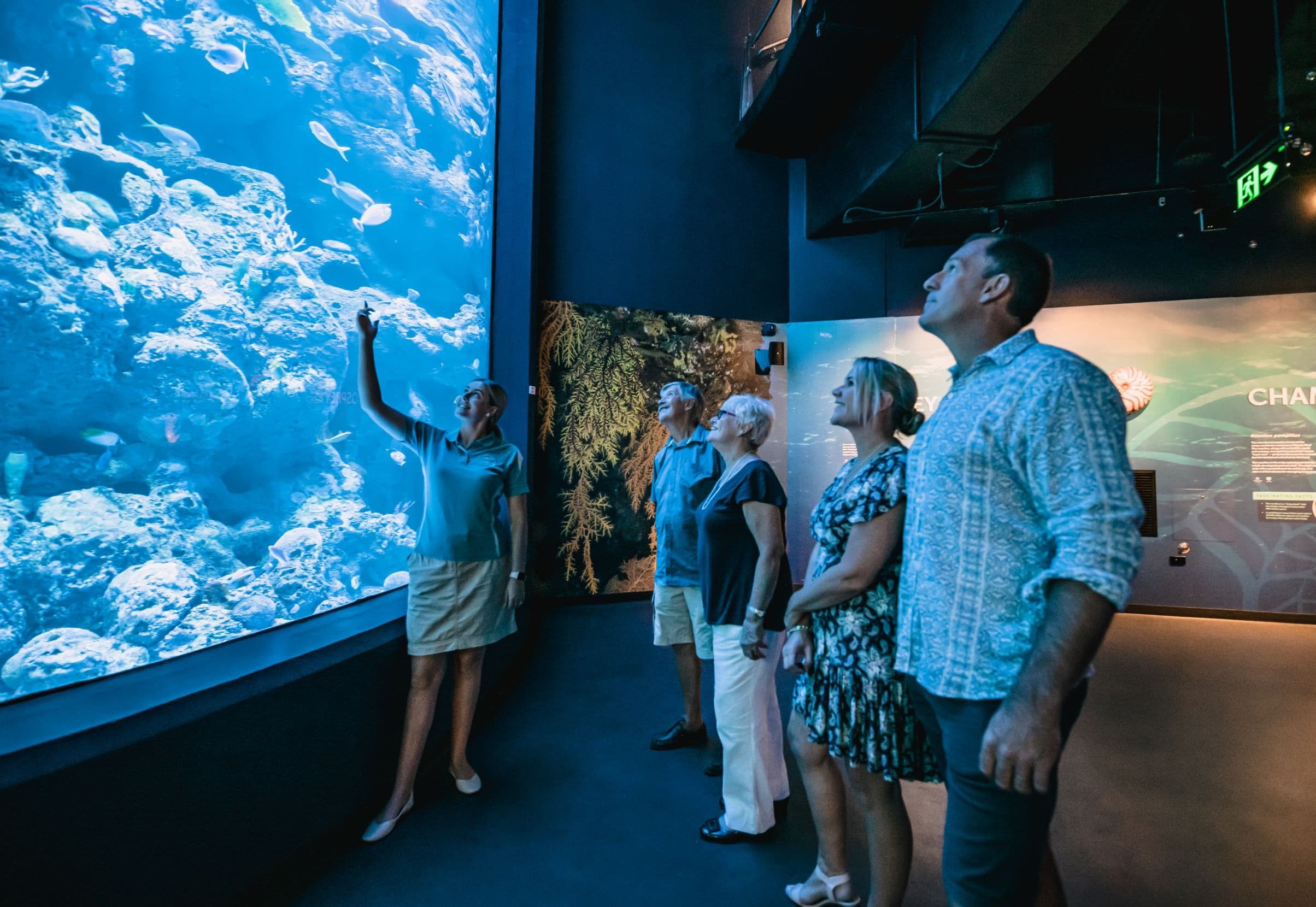 Aquarium by Twilight: Exclusive Night Tour and Dinner Experience in Cairns