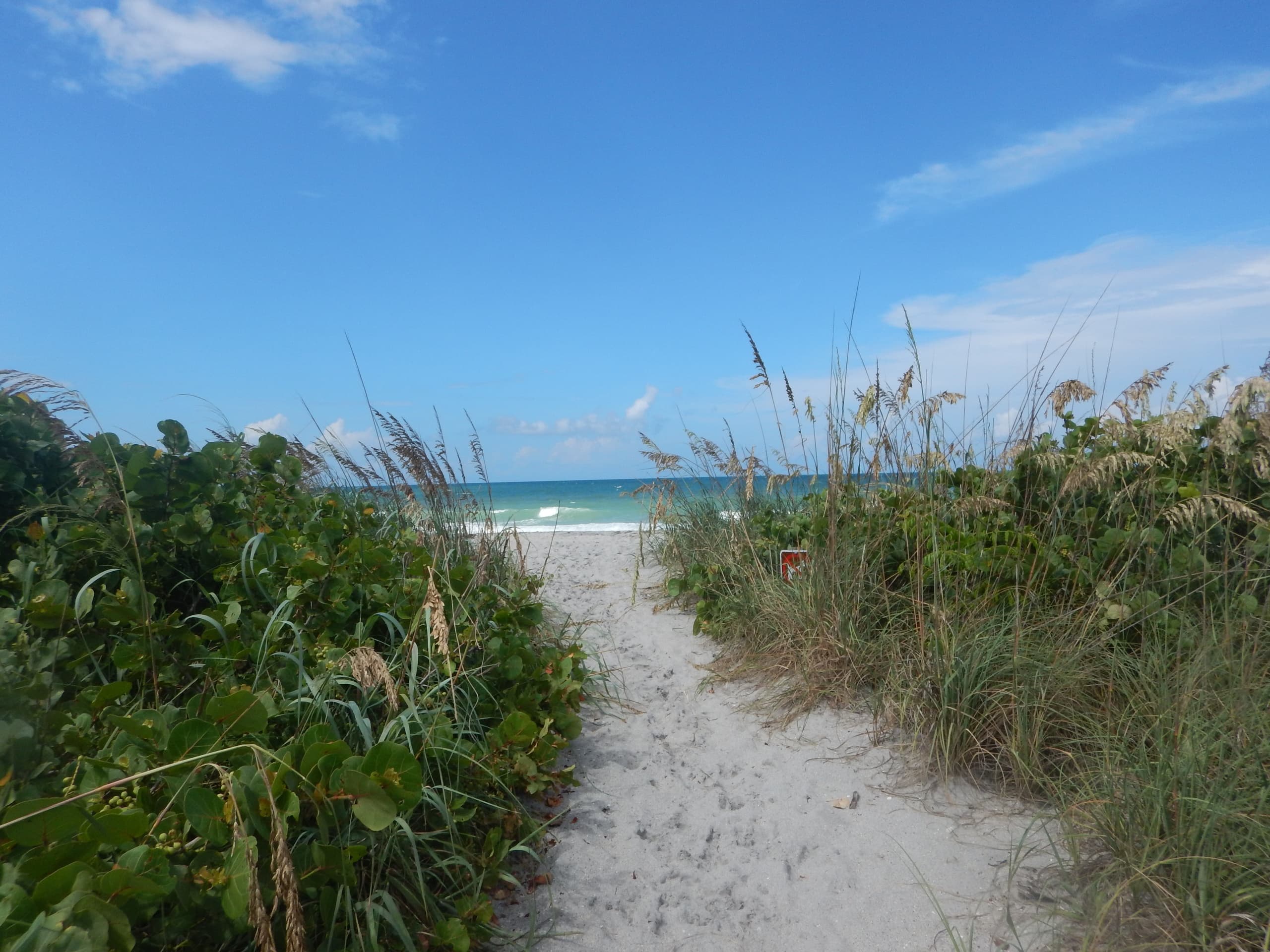 Sandy dune path to Gulf beach with sea oats and blue sky