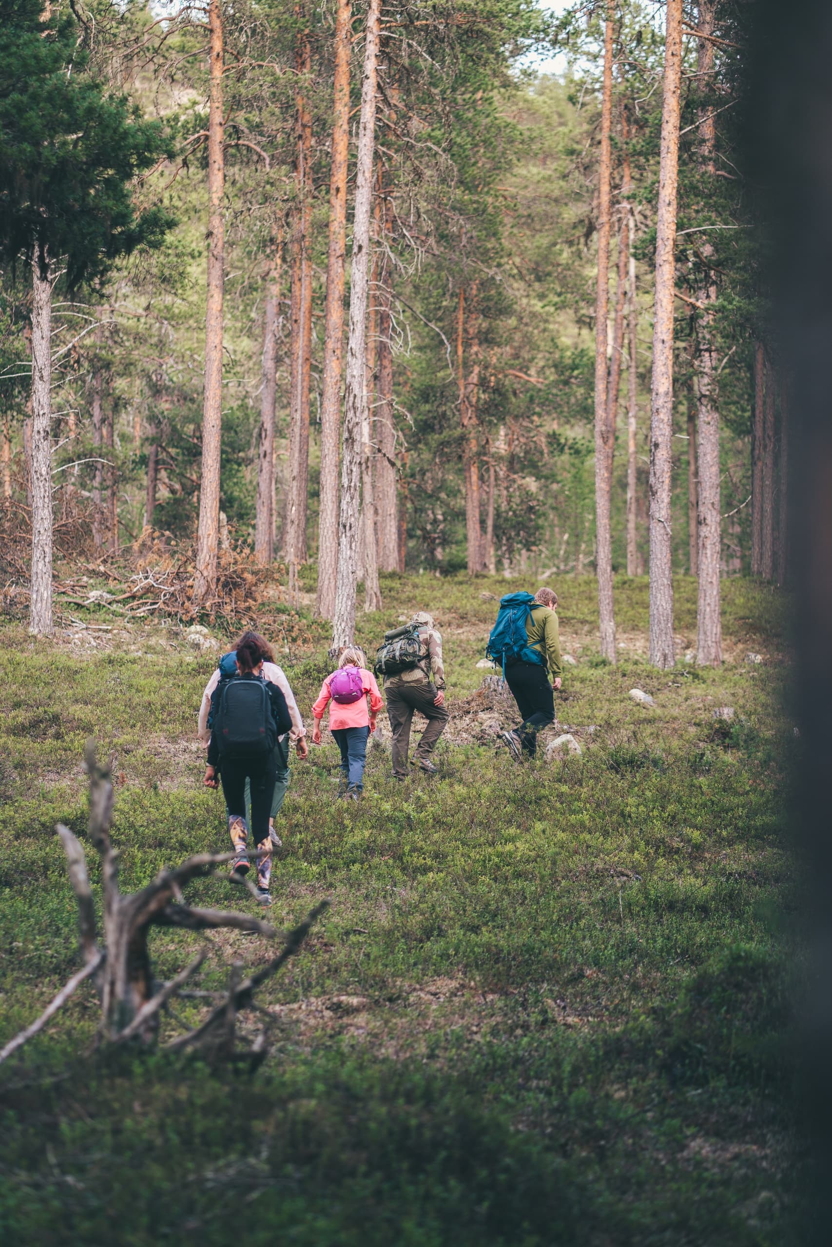 Land Adventure: Inari Hiking Day with Wilderness Hotel