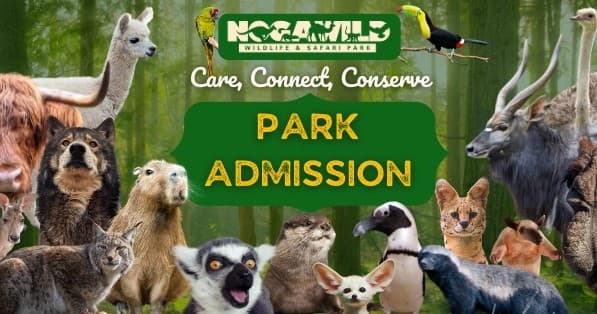 Group photo with animals at sunny outdoor zoo interaction area