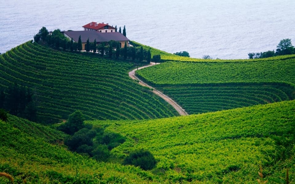 Basque Culinary & Cultural Tours in Hondarribia
