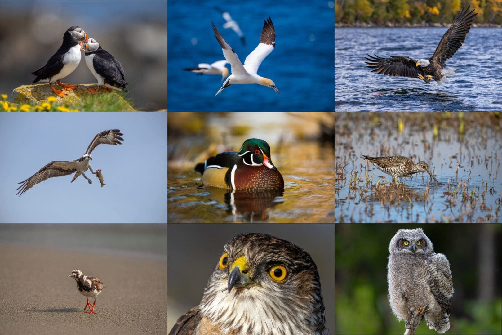 Newfoundland Photo Tours team