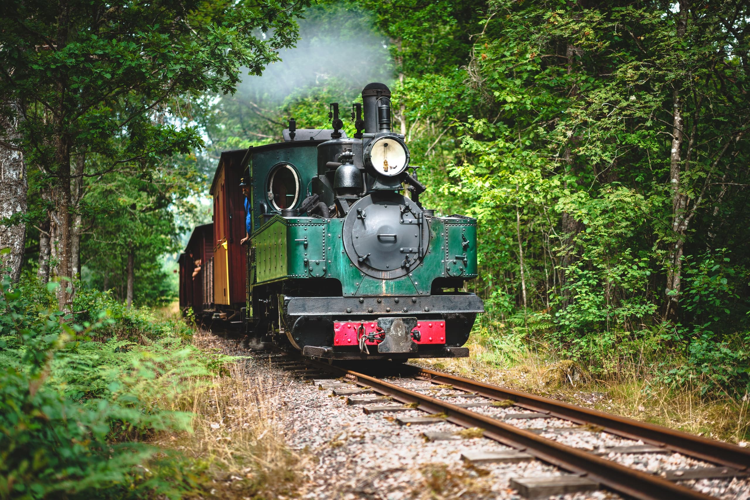 Land Adventures at Ohs Bruk: Scenic Train Journey through Finnsjön and Fina Skogen