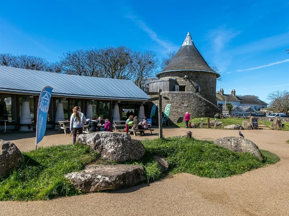 Hands-On Coastal Science at Oriel Y Parc: Family Wild Science Workshop in St Davids