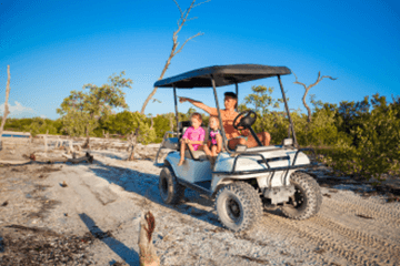 Exploring Historic Daufuskie Island: Morning Ferry Adventure from Hilton Head