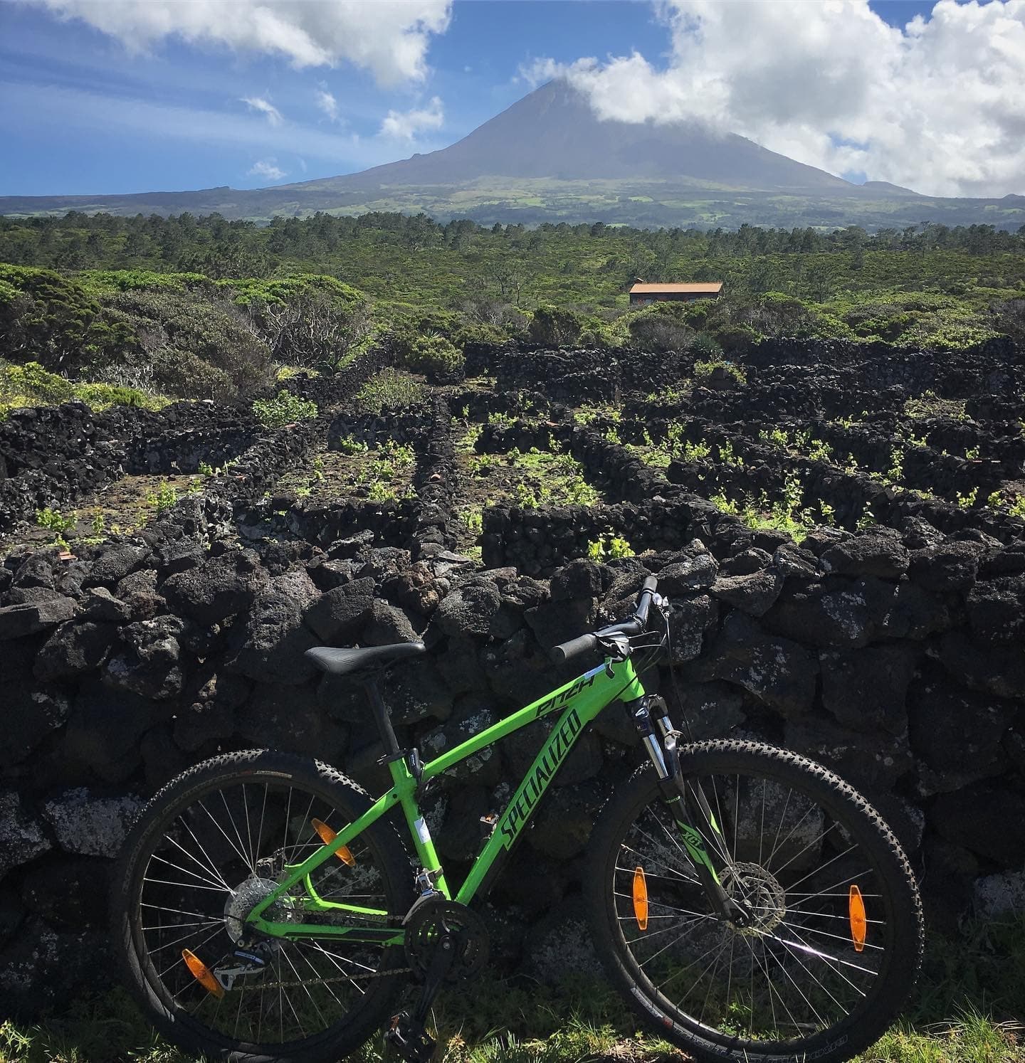 Explore Pico Island’s UNESCO Vineyards on a Scenic Bike Tour