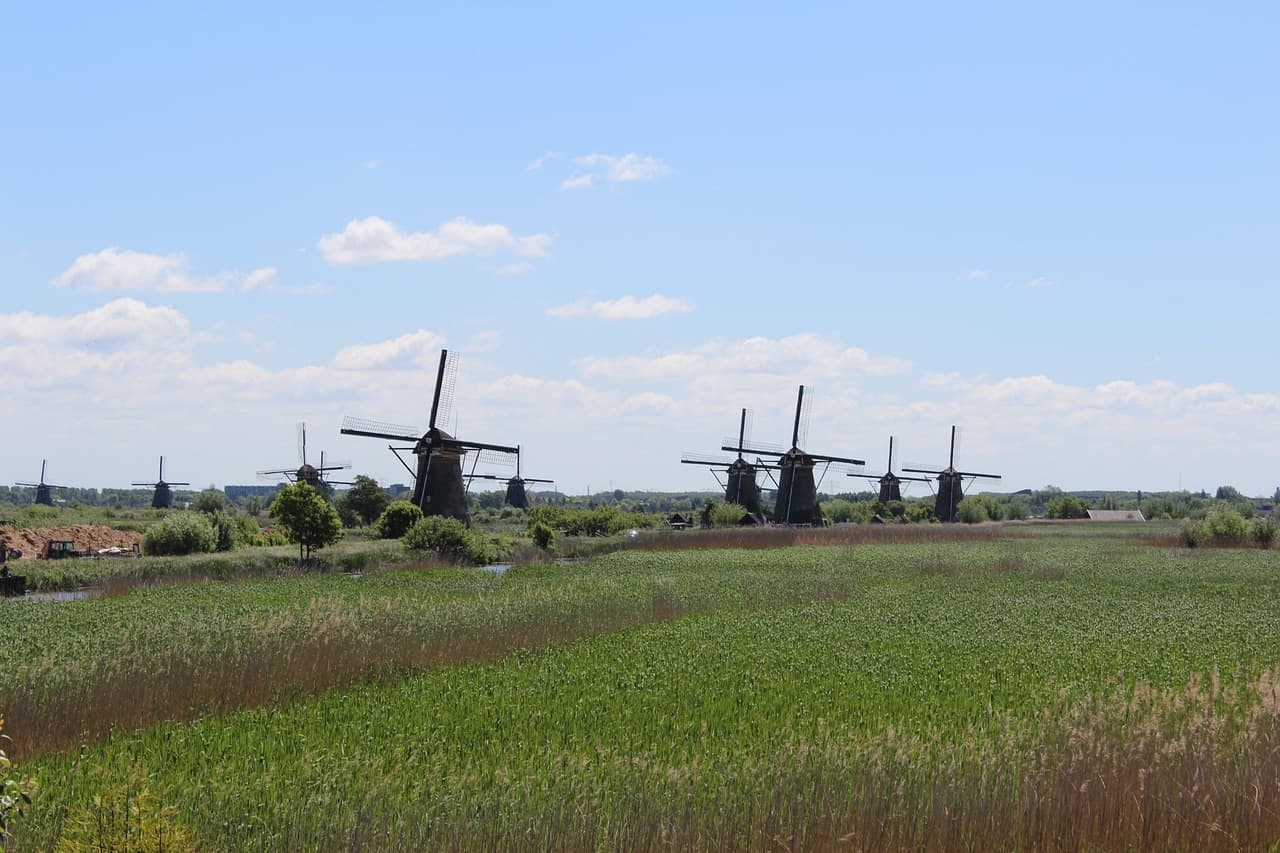 Private Kinderdijk & Gouda Tour — Windmills, Gouda Cheese, and Dutch Waterways photo 2
