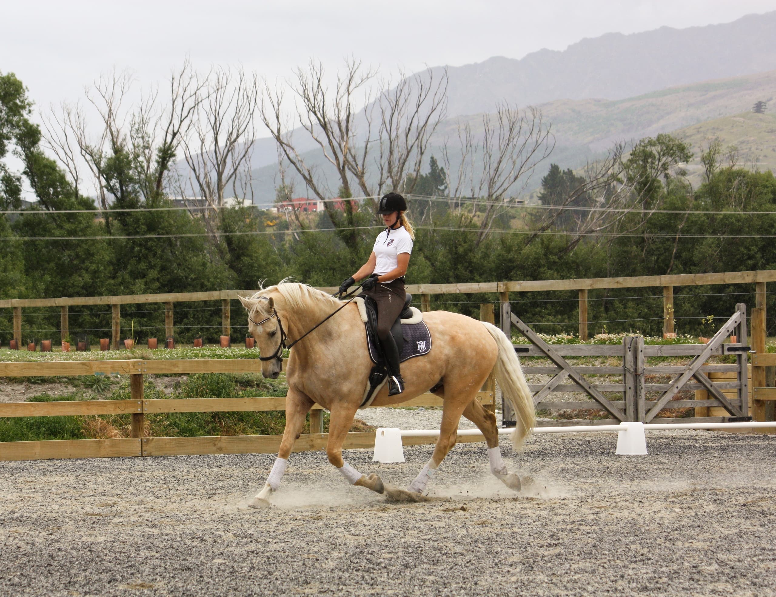 Arena Hire at A M Equestrian in Queenstown