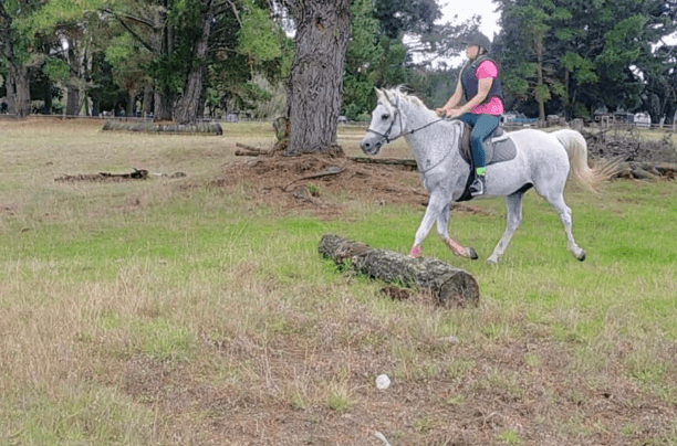Arion Riding Centre team