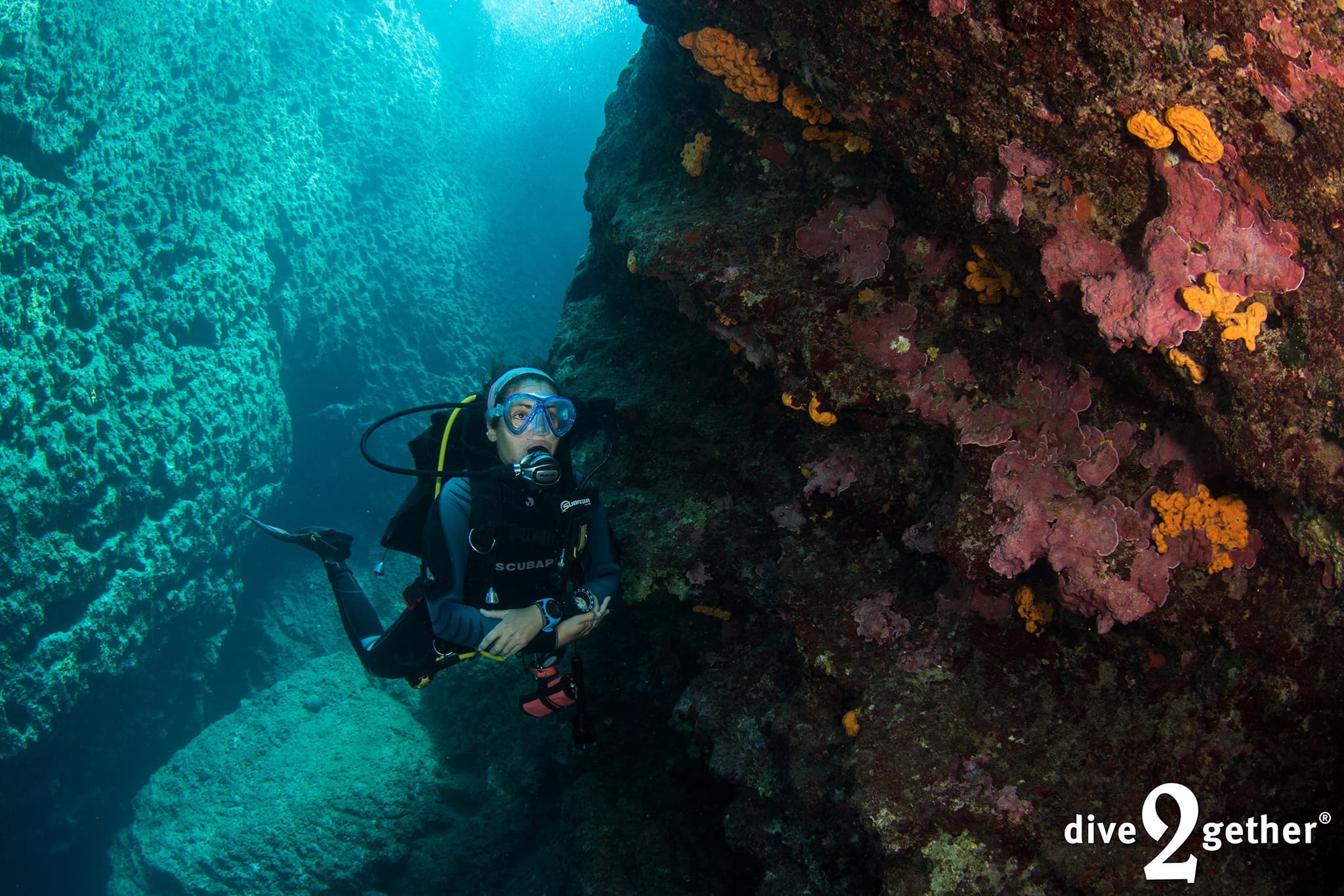 Plakias Shore Dives: Two Immersive Shore Dives with 30m Visibility on Crete