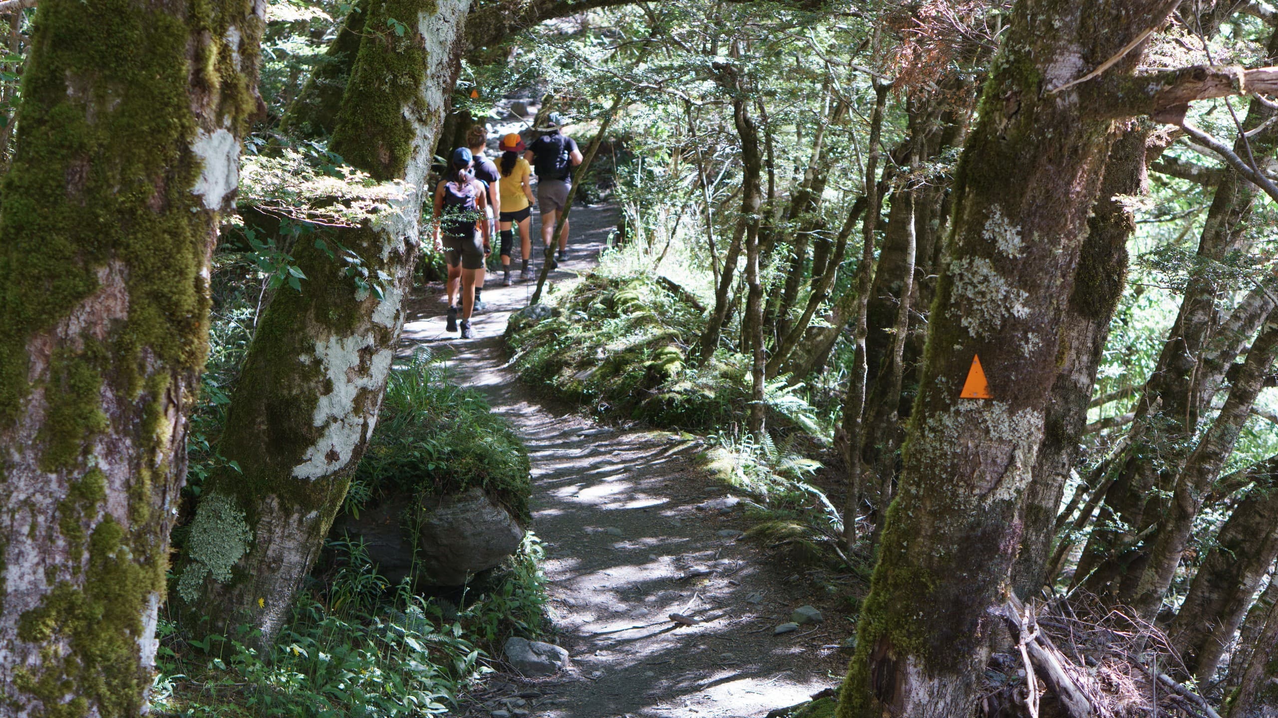 Rob Roy Glacier Day Walk: Guided Matukituki Valley Hike from Queenstown photo 3