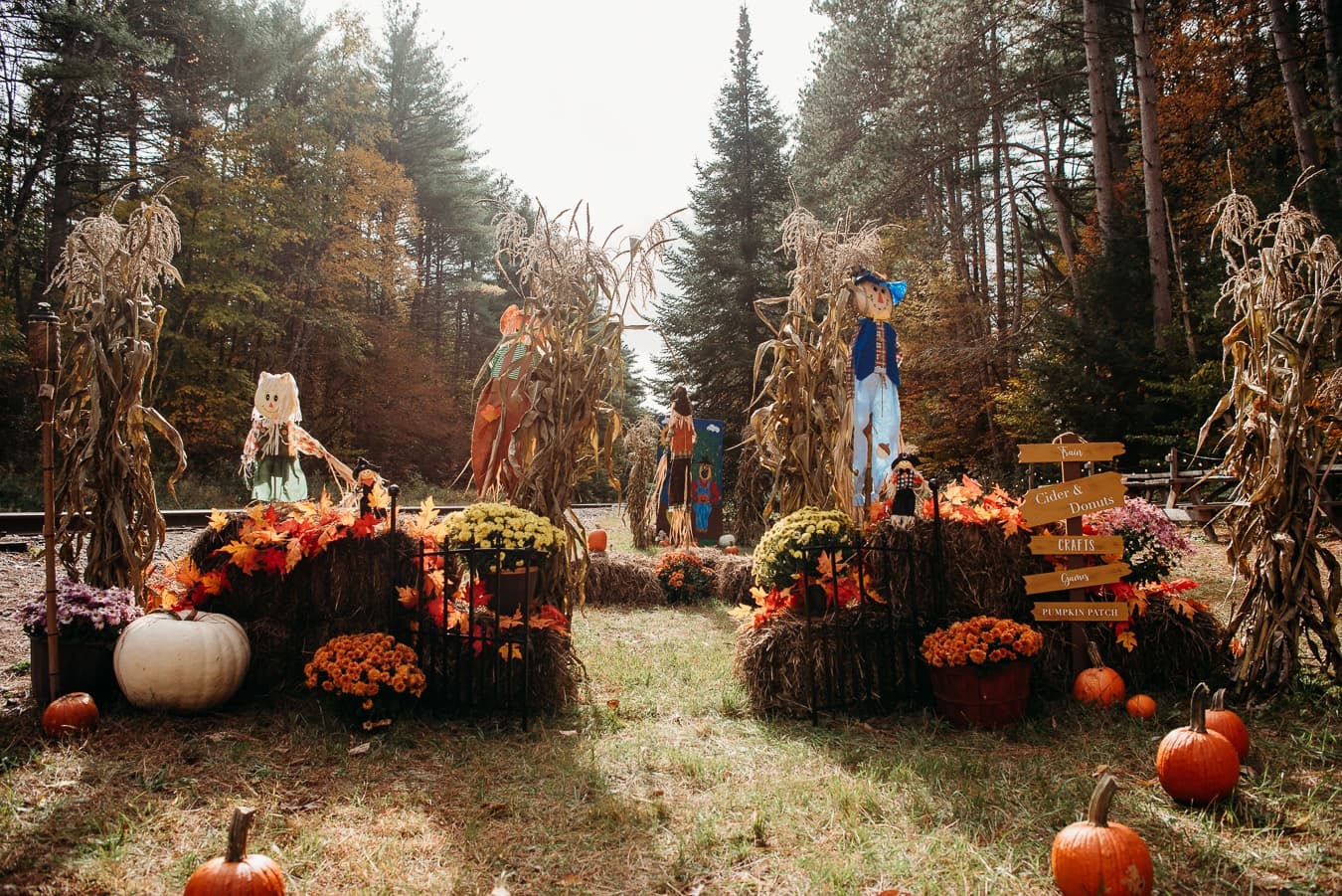 Fall Family Adventure with The Pumpkin Picker at Saratoga