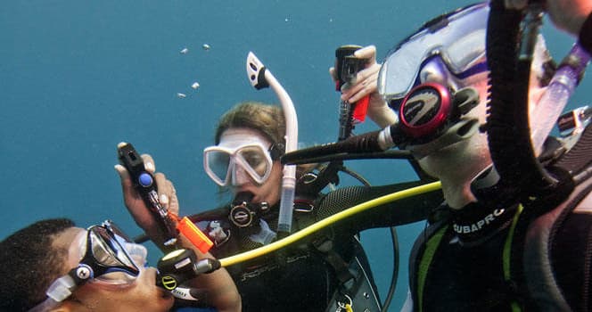 Scuba Certification at The Dive Shop Lanzarote: Dive Into Adventure in the Canary Islands