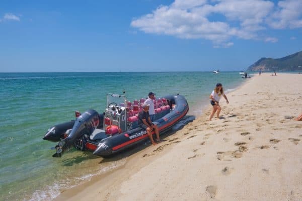 Rigid inflatable boats beached with crew on tropical sandy shore