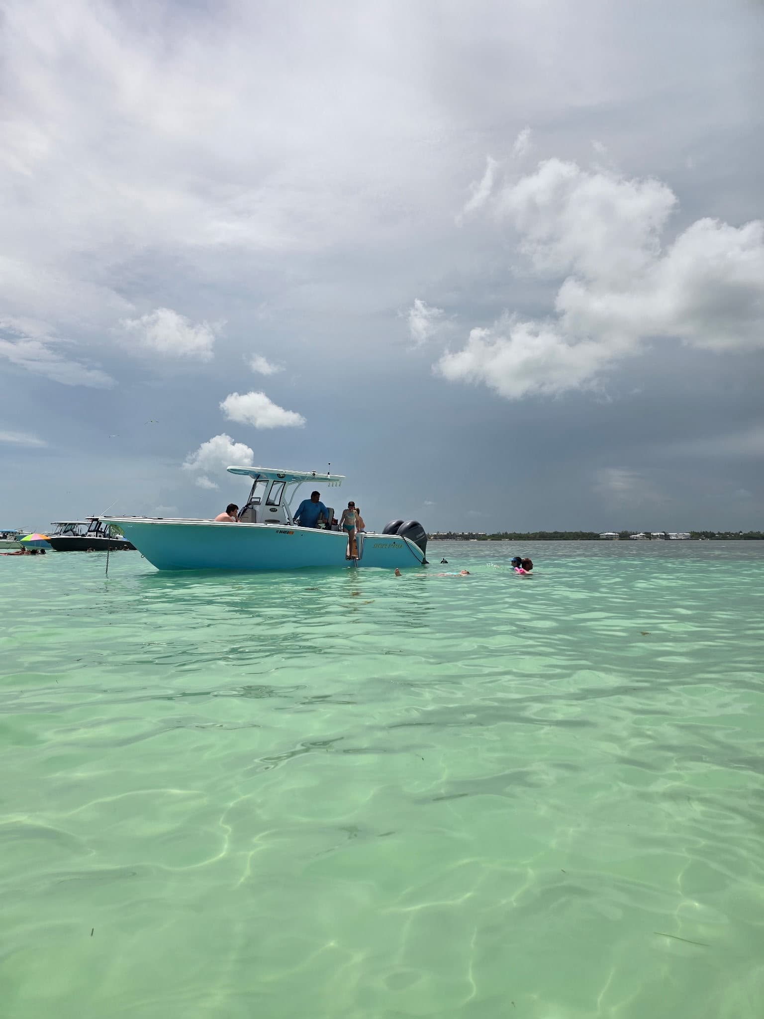 Private Sandbar Tour by Seahorse Water Adventures in Islamorada