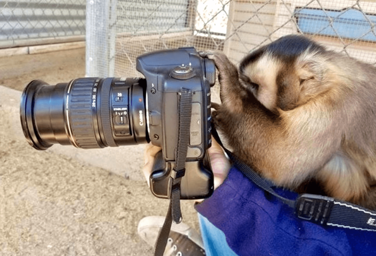 VIP Animal Encounters in Agua Dulce, California