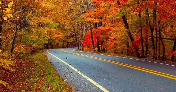 Scenic winding road through colorful autumn forest, fall drive