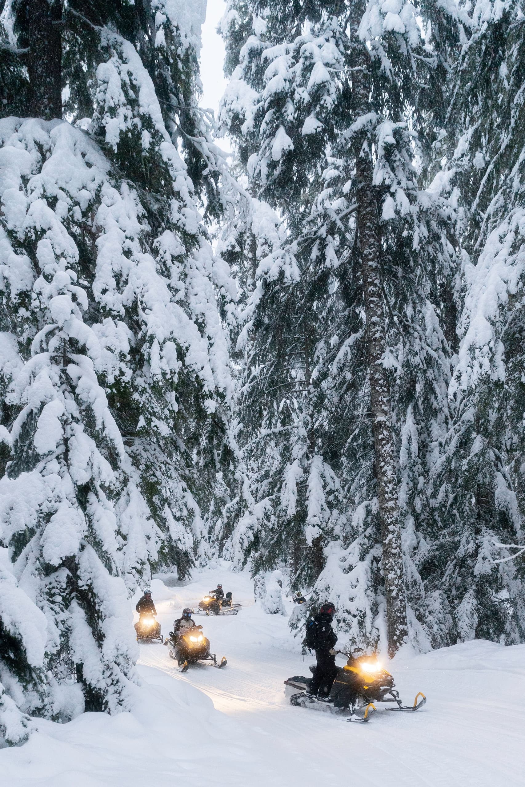 Winter Snowmobile Guide at The Adventure Group Whistler