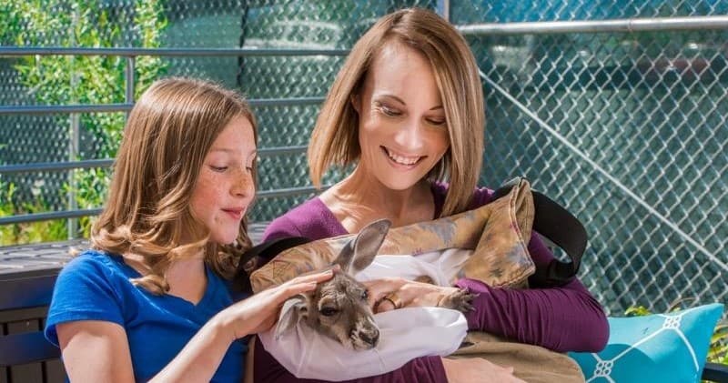 Branson's VIP Animal Adventure at Promised Land Zoo