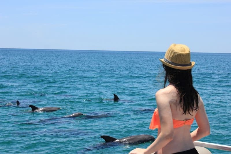 Panama City Beach Dolphin Cruise & Shell Island Tour on the \"Islander\": Half-Day Wildlife and Shelling Excursion photo 4