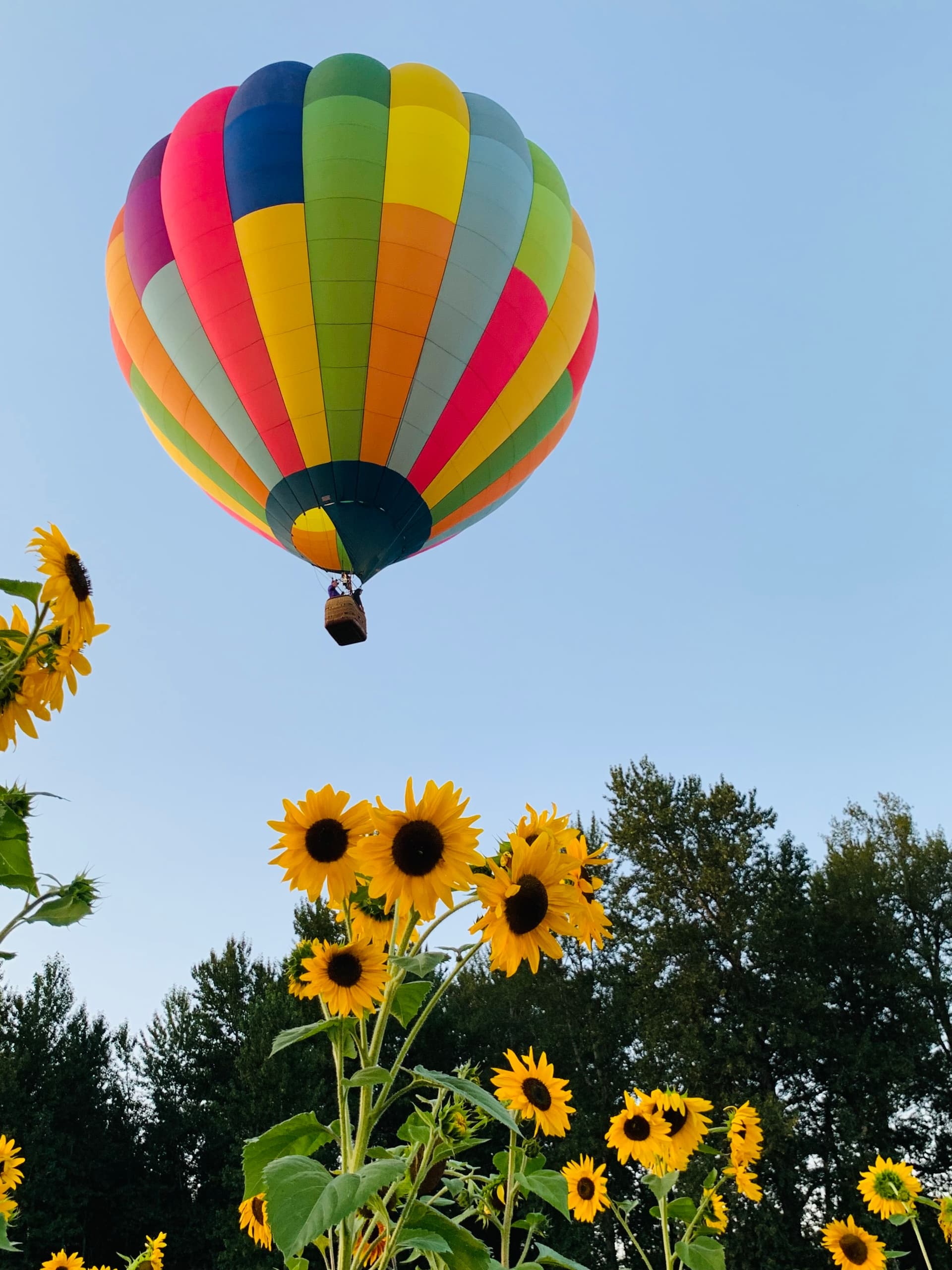 Sunset Evening Balloon Flight in Snohomish, WA