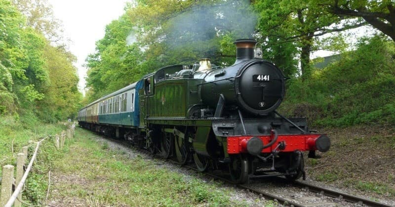 Land Adventures: Cream Tea with Chigwell Tours & Visits in Epping Forest