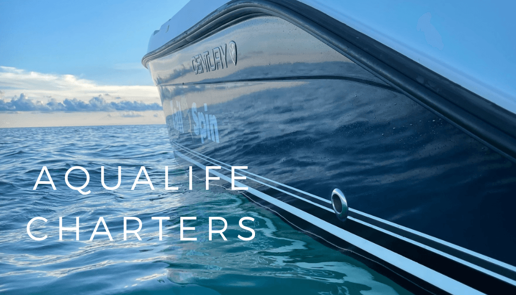Boat hull cruising over turquoise open ocean, Aqualife Charters