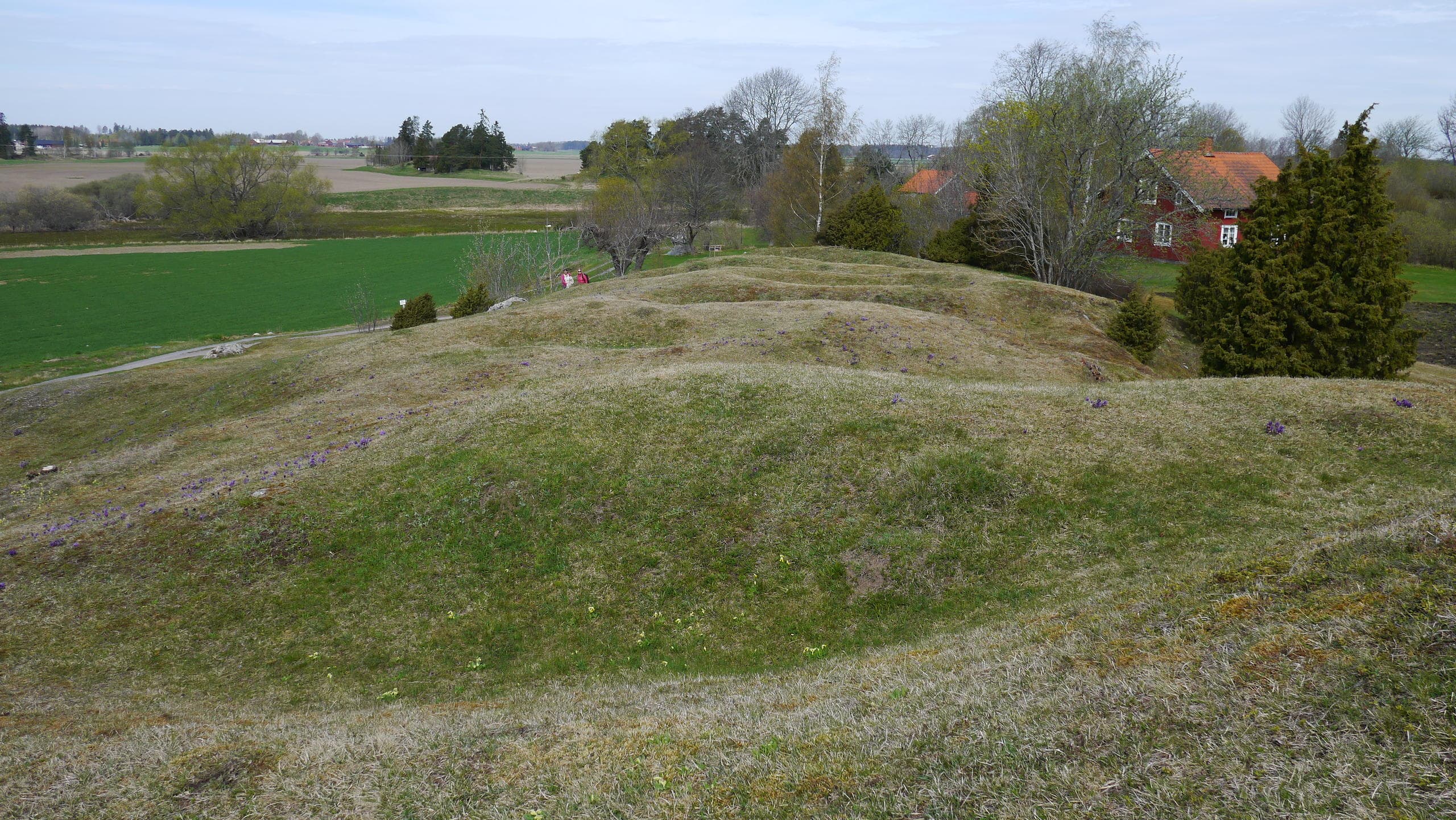 Viking Ship Burials at Valsgärde with Sweden History Tours