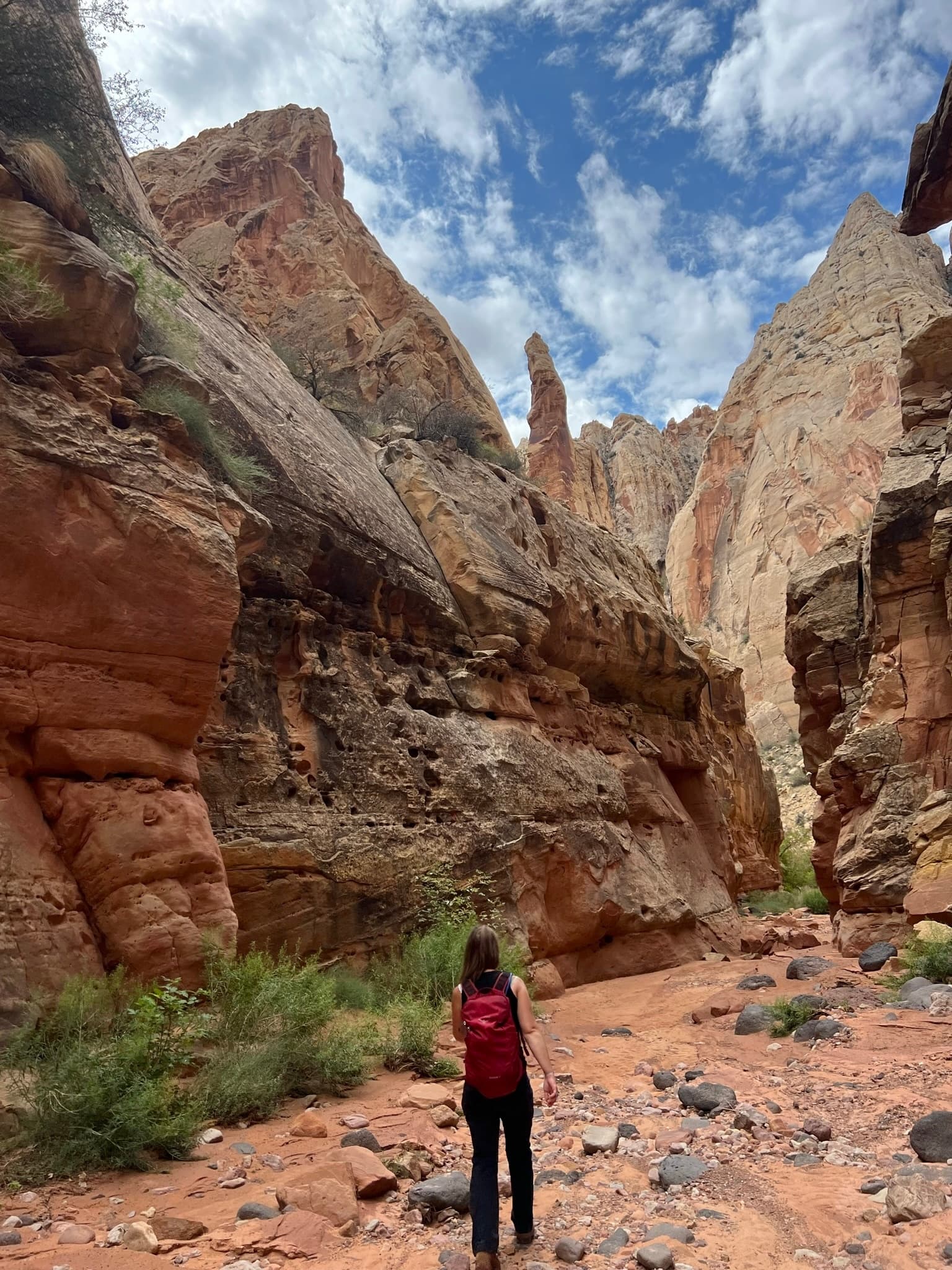 Explore Spring Canyon: A Short Spring-Fed Canyon Hike Near Capitol Reef Visitor Center photo 3