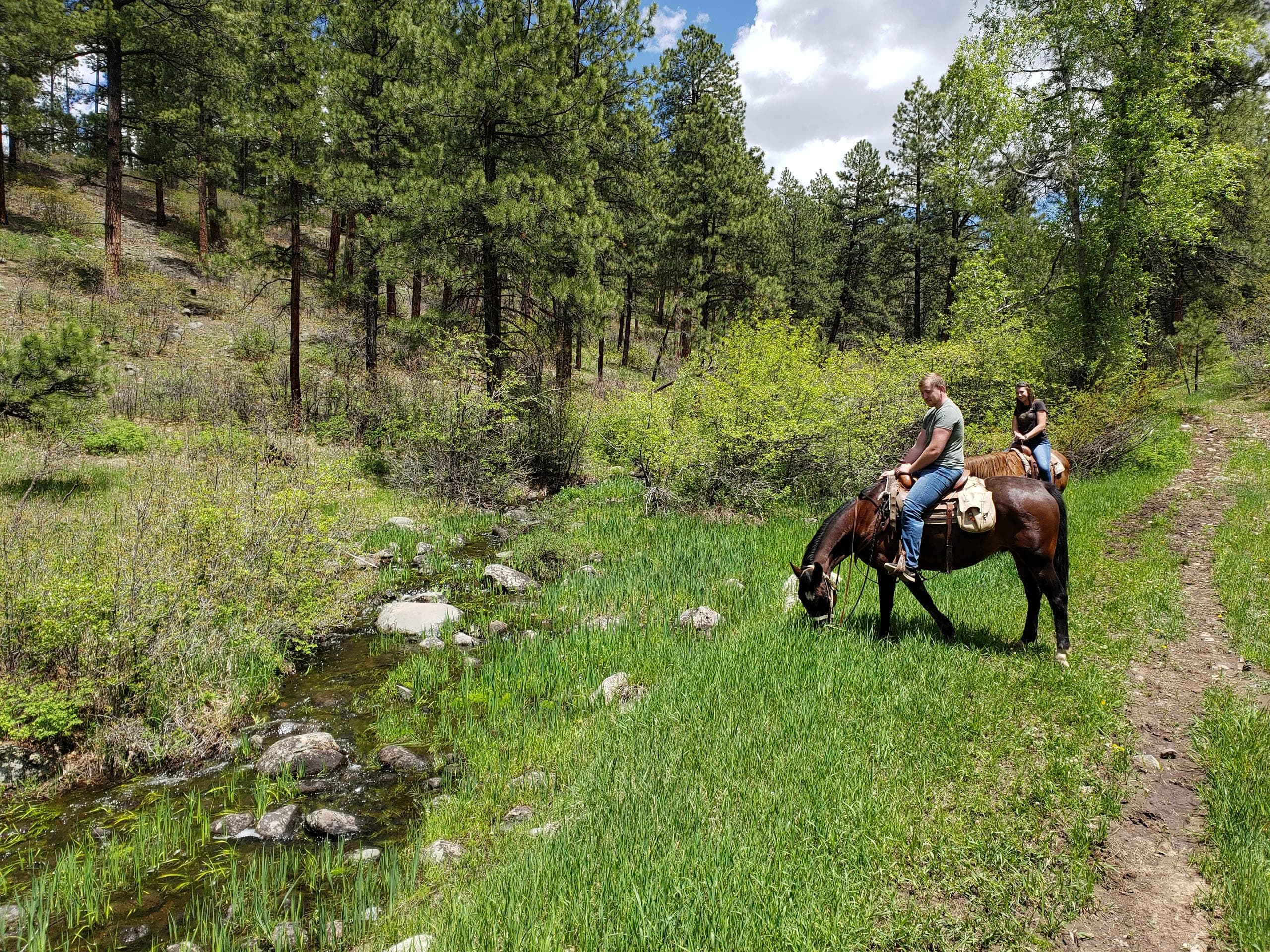Horseback Riding Adventures with Majestic Outfitters in Pagosa Springs