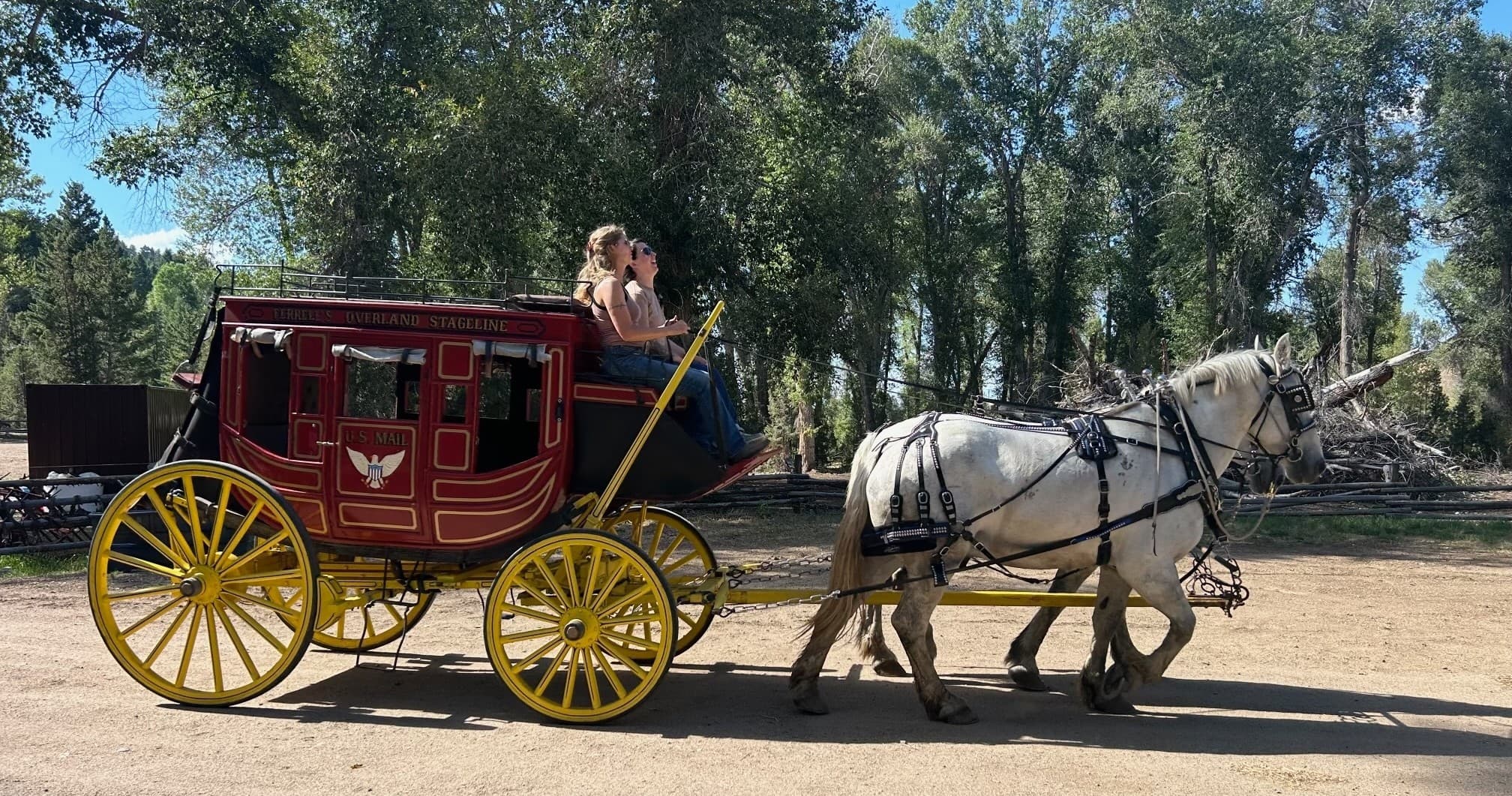 Land Adventures with Triple M Carriages in Historic Area
