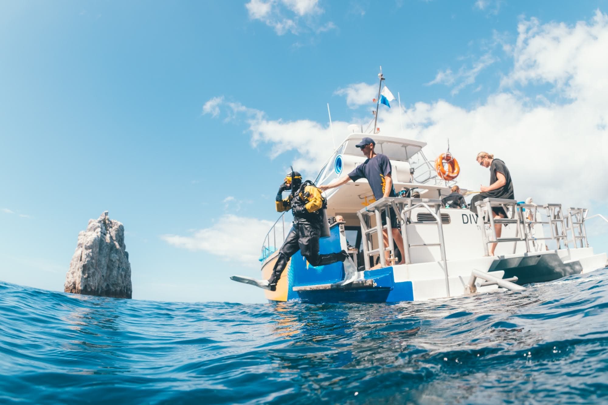 Poor Knights Islands Diving: Two Dives Through Volcanic Arches, Caves & Kelp Gardens photo 1