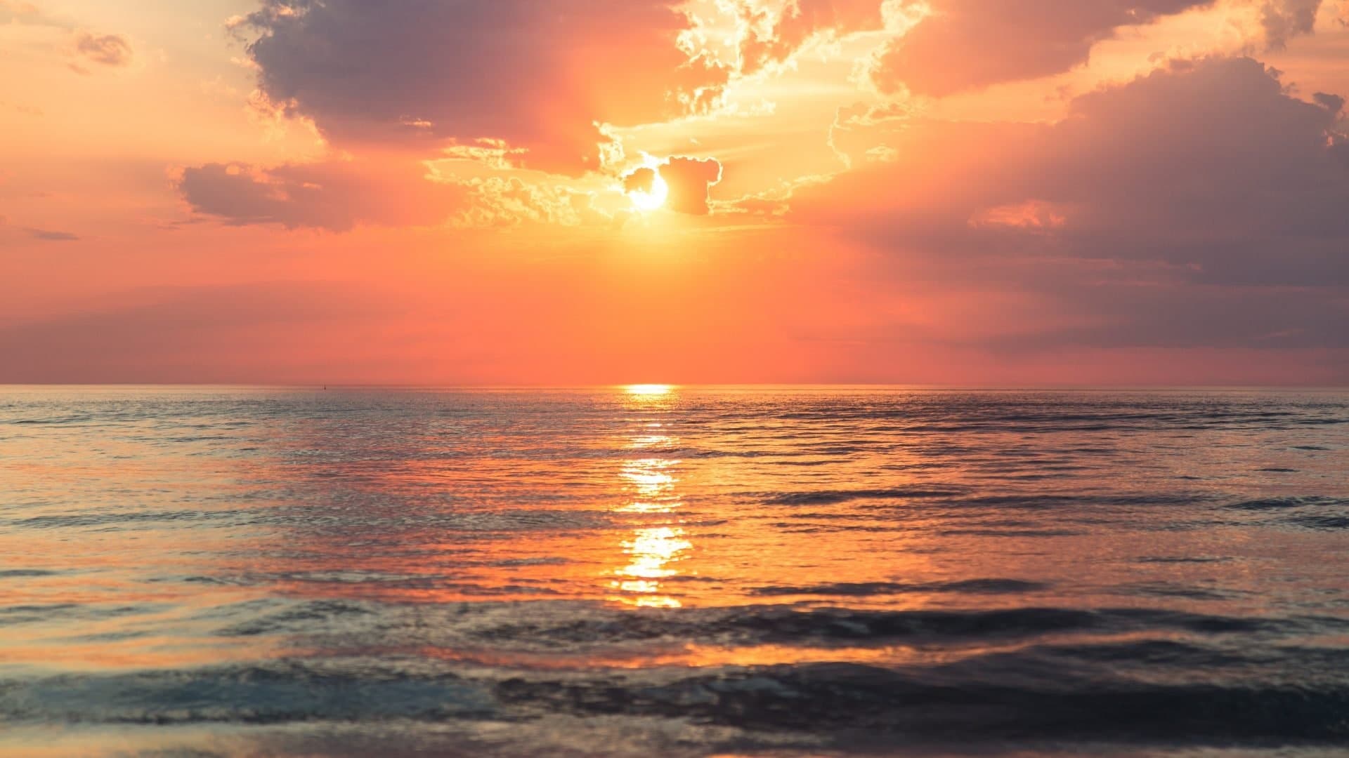 Algarve Sunset Cruise with Enjoy Lagos boats