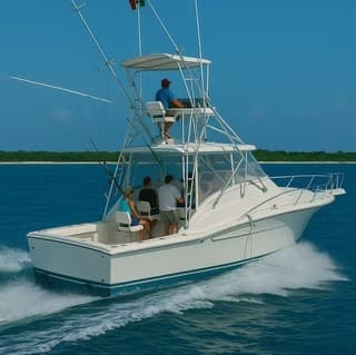 Offshore Sportfishing Aboard the 38' Luhrs Express from Puerto Aventuras