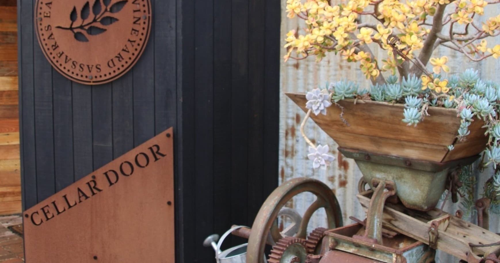 Land Adventures in Tasmania: Wine & Chocolate Tour by Discover My Devonport