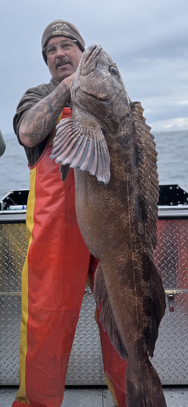 Homer Boat-Based Bear Hunt Aboard Bad Influence: 5-Day Coastal Black Bear & Fishing Expedition photo 1