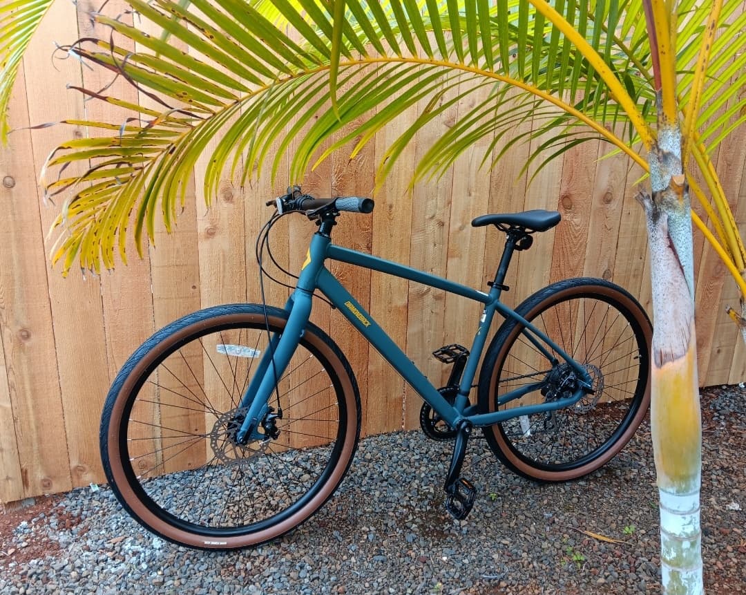 Kauai Ebikes' 7-Day Geared Bike Rental in Koloa