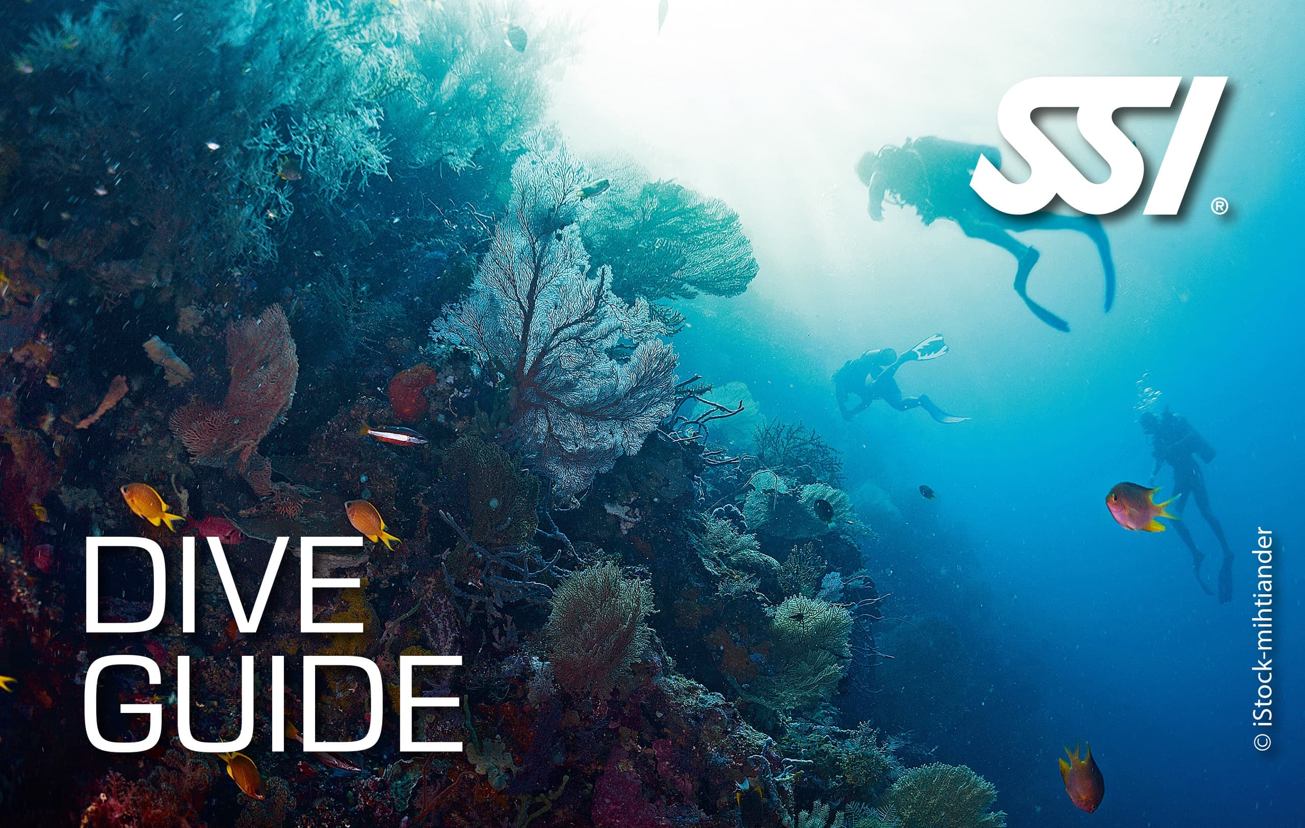 Dive Guide Certification with Paragon Diving in Big Pine Key