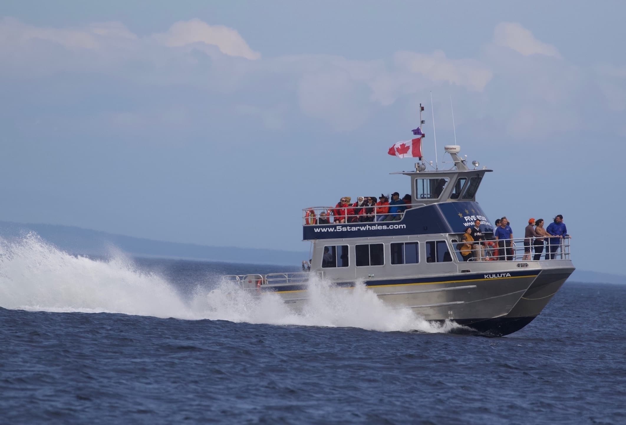 Private Marine Adventure & Whale Watching in Victoria, BC