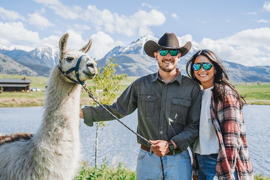 Llama Meet & Greet Animal Encounters in Pray MT