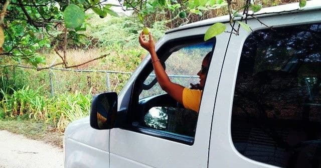Discover Vieques Historical and Cultural Tour in Esperanza