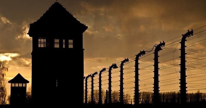 Auschwitz Day Tour from Warsaw by Train with AB Poland Travel