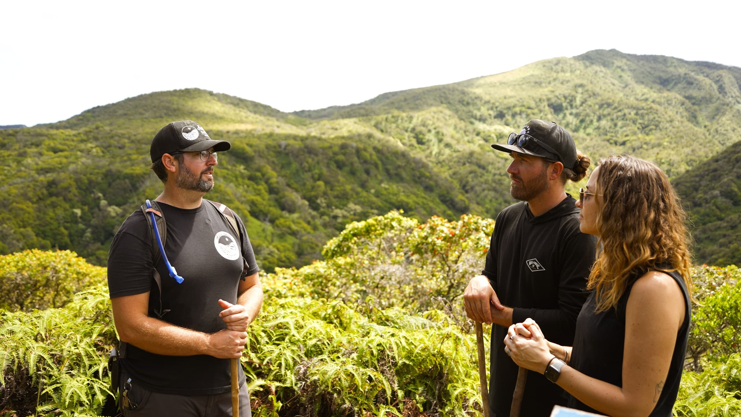 Hikers chatting on lush mountain trail with green ridgeline backdrop