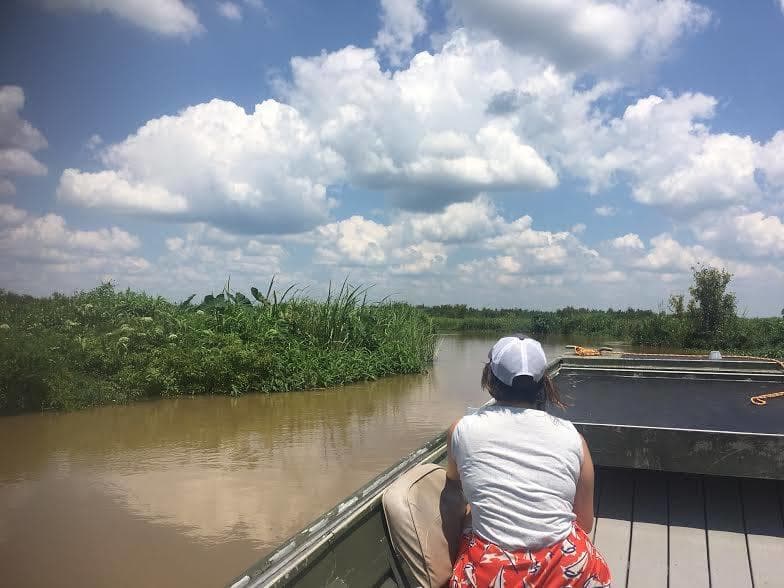 Boat tour passenger viewing marshland bayou under blue sky