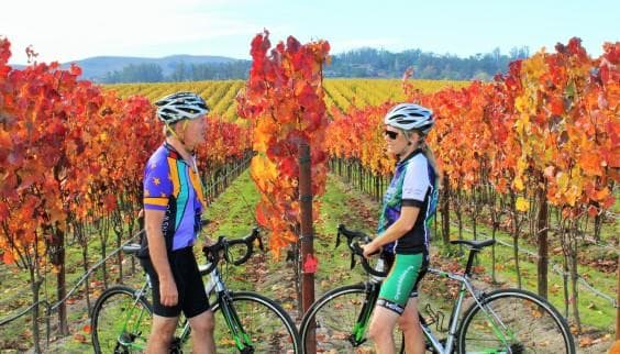 Classic Weekend Bicycle Getaway in Healdsburg, California