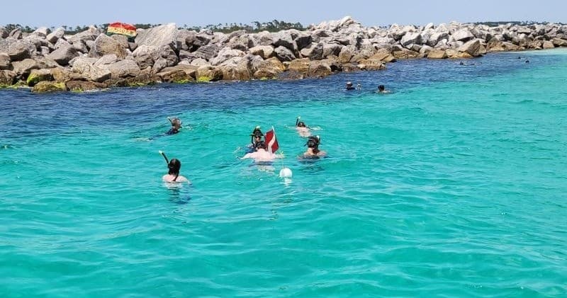 Three Hour Dolphin Snorkel Tour in Panama City, FL