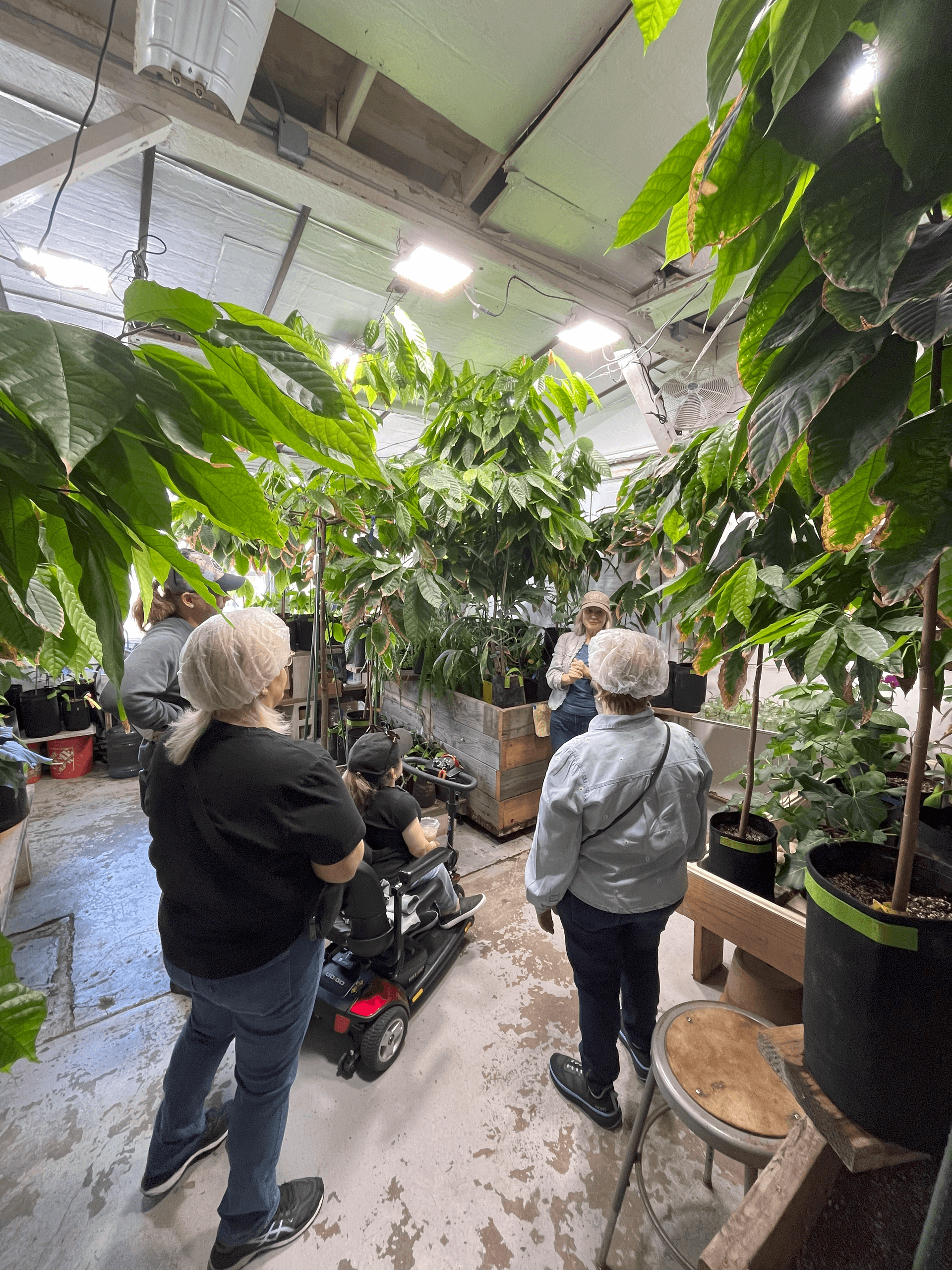 The Chocolate Experience Factory Tour in Santa Barbara