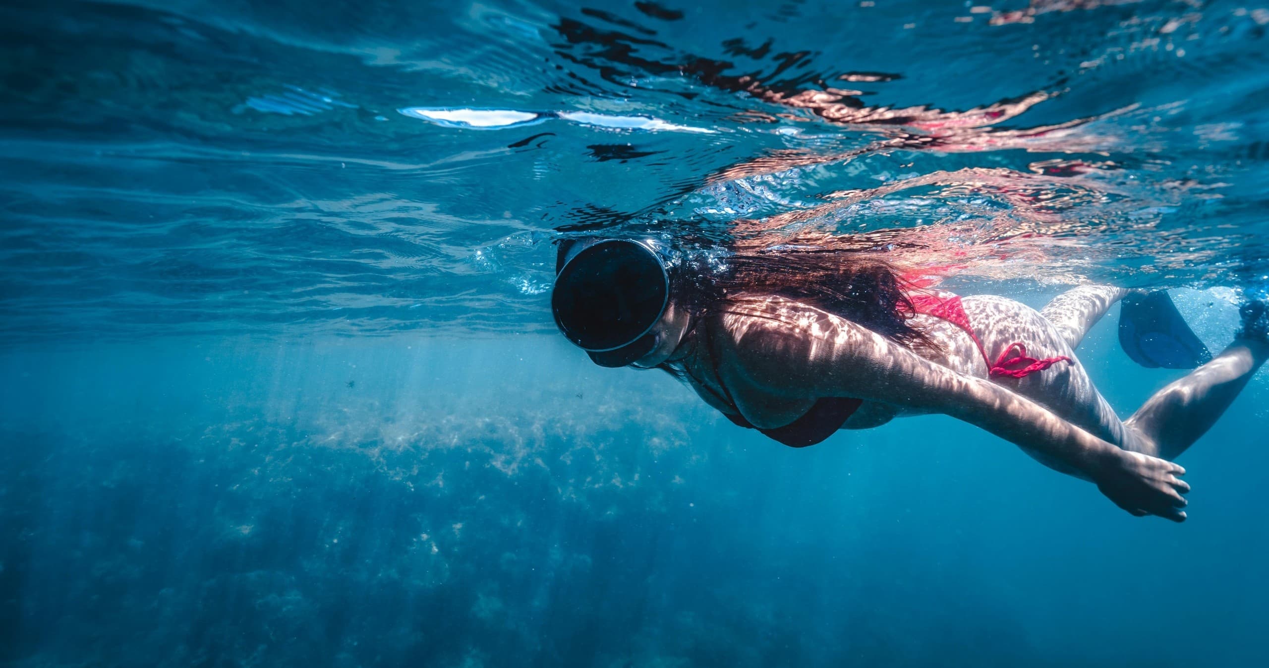 Daytime Snorkel Experience: West End Roatan Reef Trips