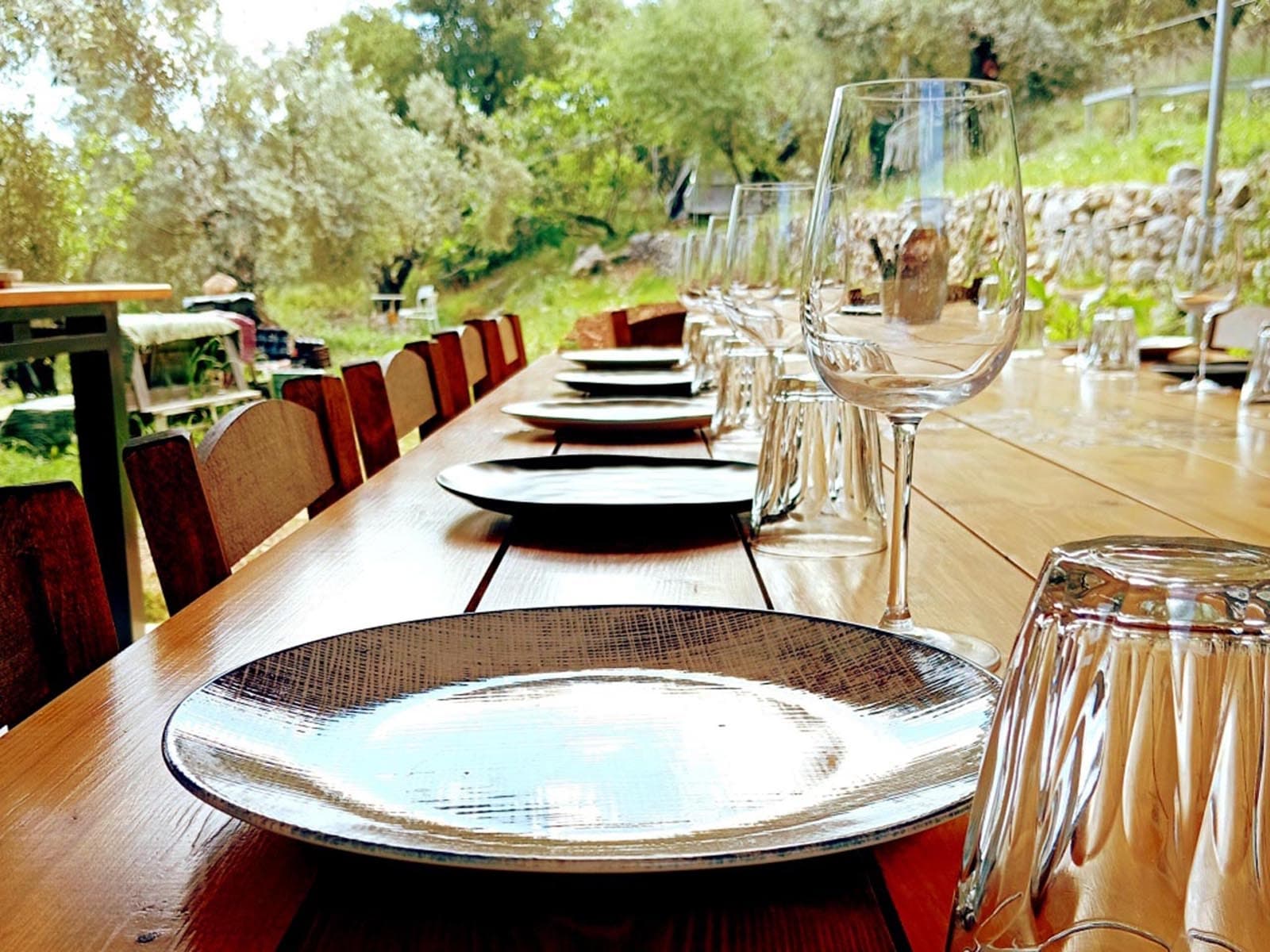 Farm-to-Table Dining at Lefkada Micro Farm in Nidri